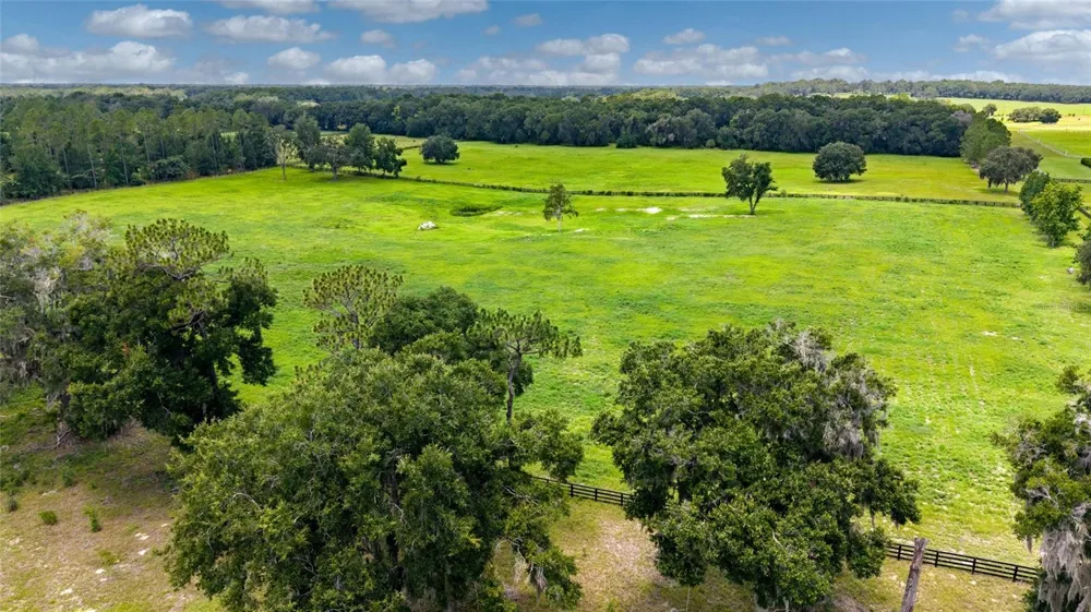 SE 159TH LN. Summerfield, FL 34491