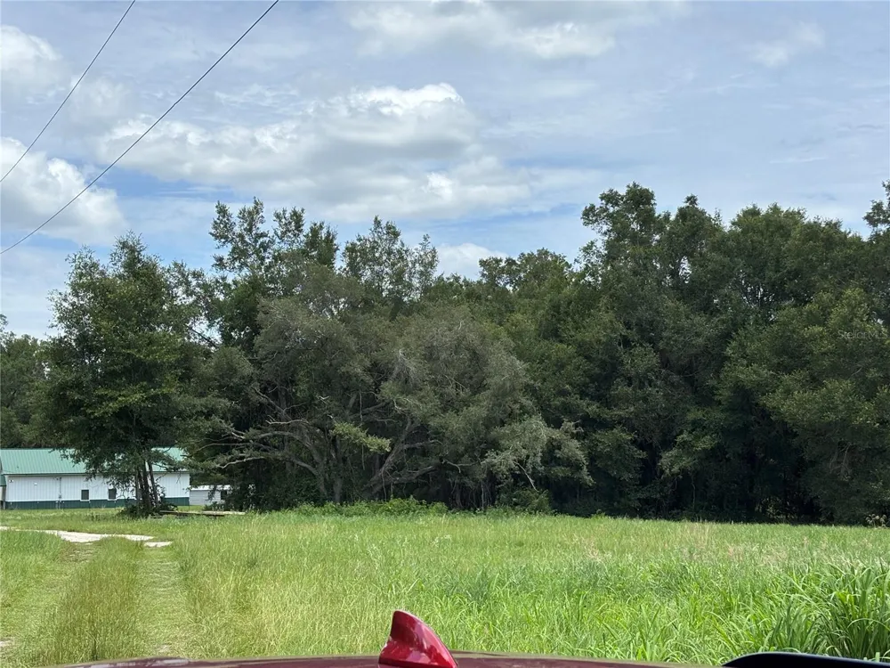 NE 23 Citra, FL 32113