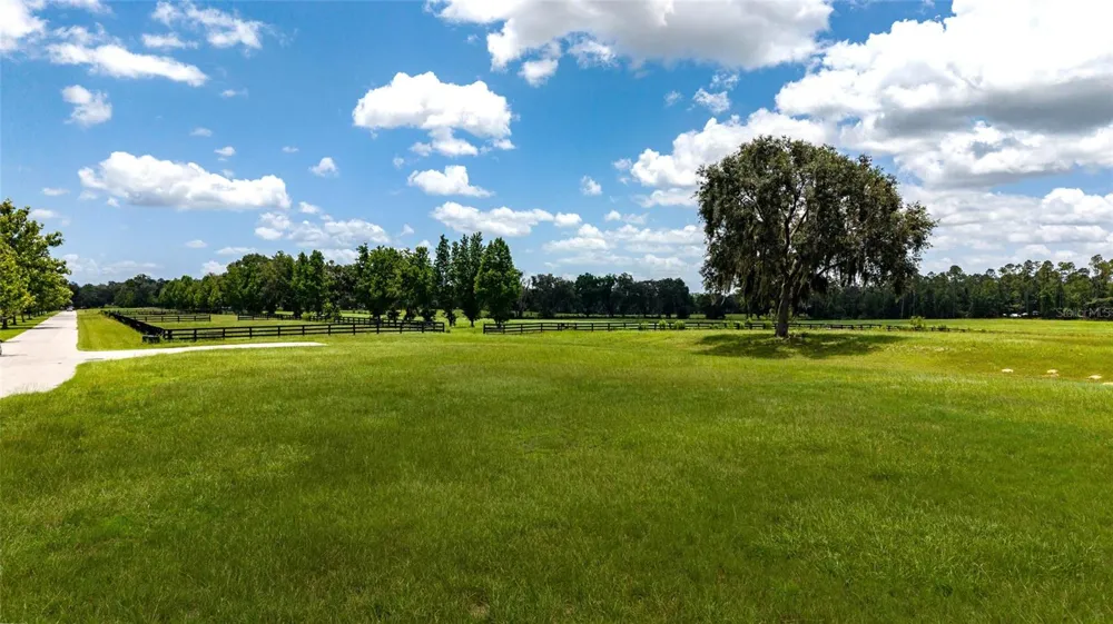SE 159TH LN. Summerfield, FL 34491