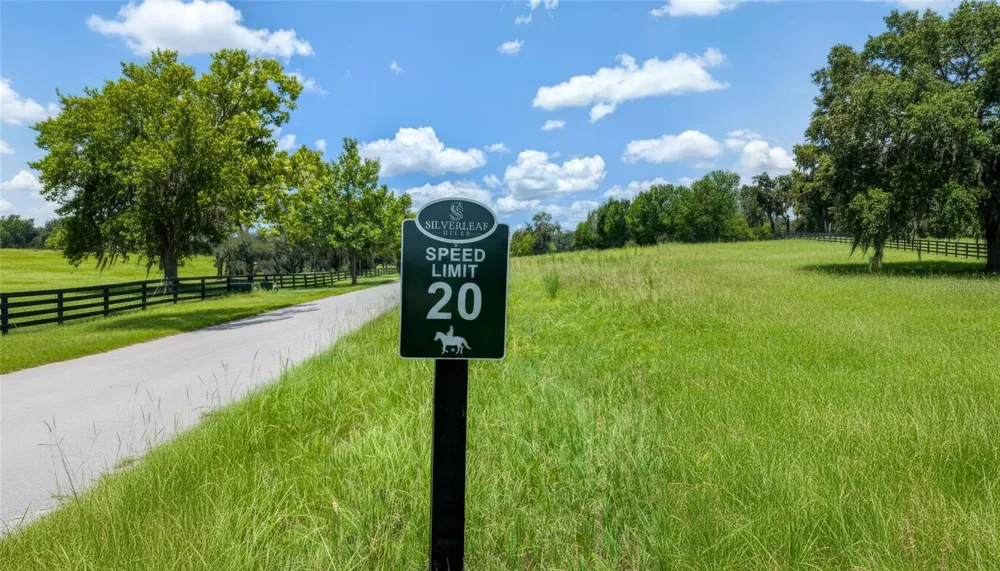 SE 159TH LN. Summerfield, FL 34491