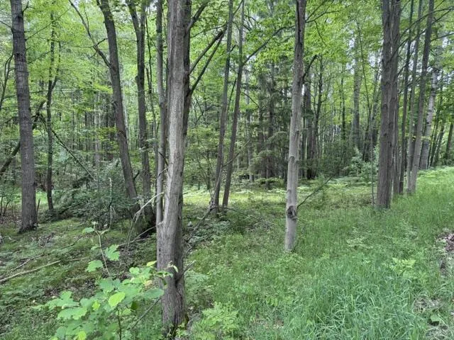 142 Hills Circle Leroy, MI 49655