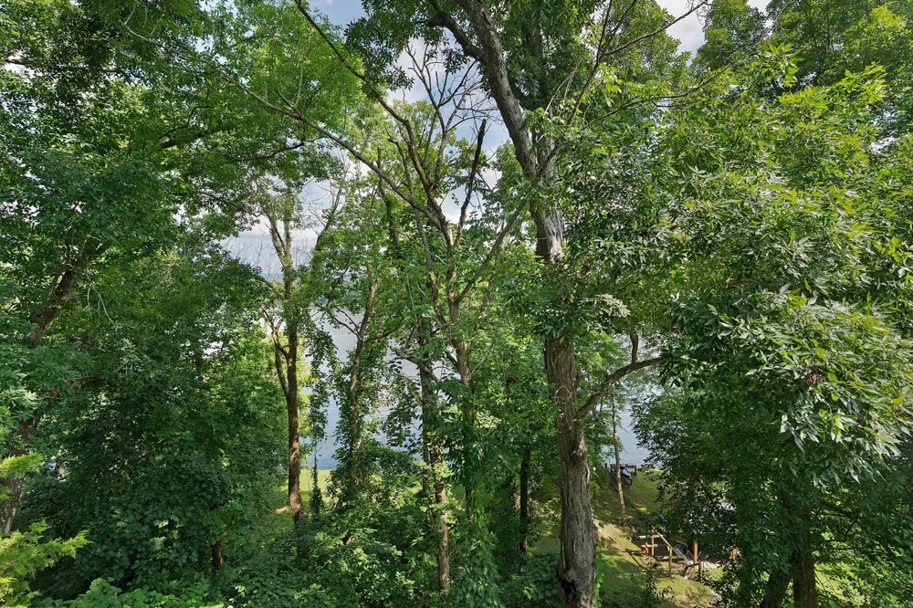 357 Russell Lane Decatur, TN 37322