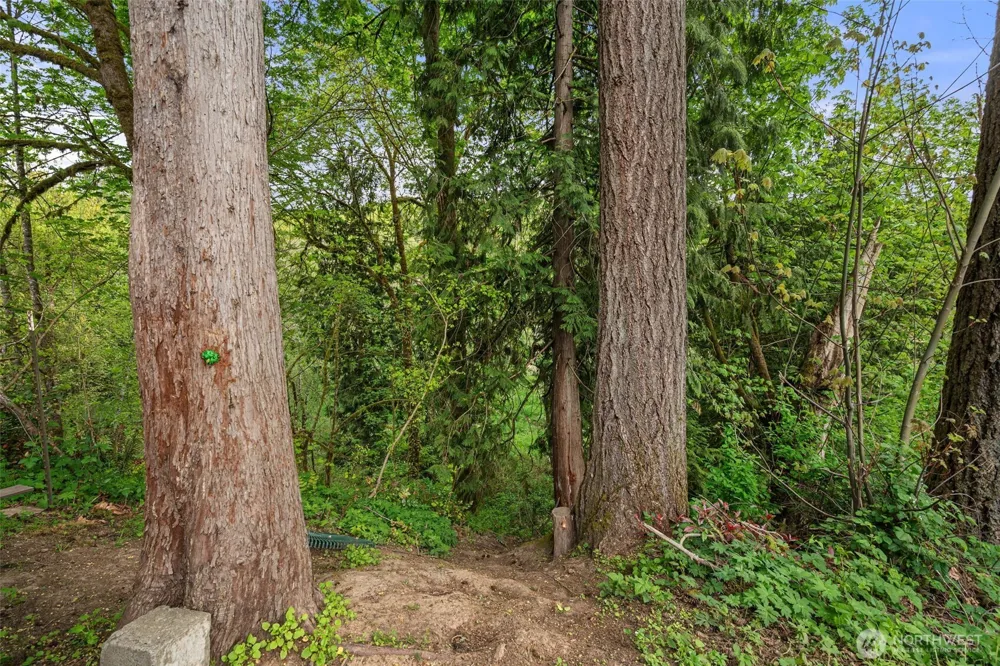 708 NE Eaton Court Castle Rock, WA 98611