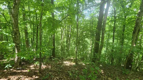lot 15 Roaring Ridge Trail