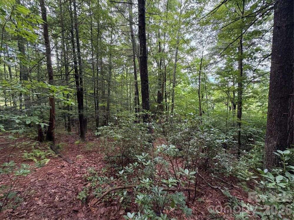 0 Gateway Drive #10 Hendersonville, NC 28739