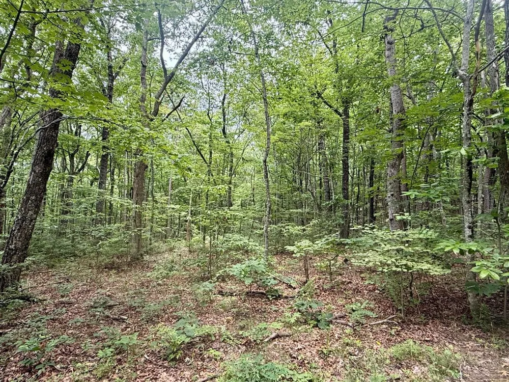 5973 Windridge Drive Dunlap, TN 37327