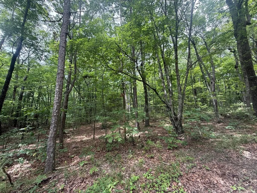 5973 Windridge Drive Dunlap, TN 37327