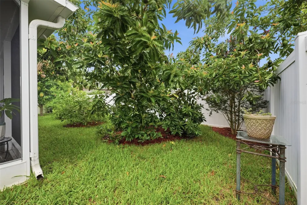 2814 MAPLE BROOK LOOP Lutz, FL 33558