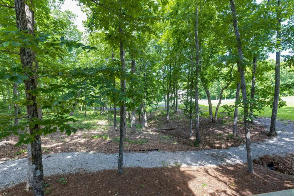 105 Andrews Dr Loretto, TN 38469