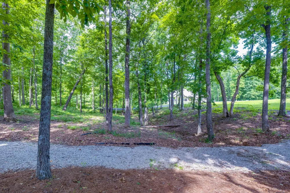 105 Andrews Dr Loretto, TN 38469