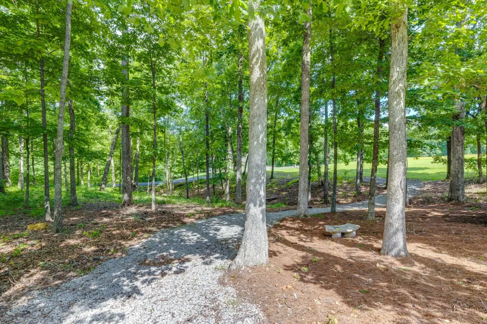 105 Andrews Dr Loretto, TN 38469