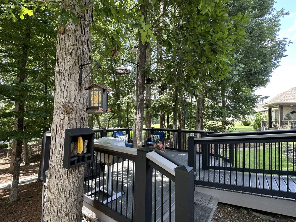 105 Andrews Dr Loretto, TN 38469