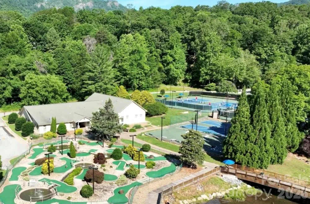 1943 Buffalo Creek Road Lake Lure, NC 28746