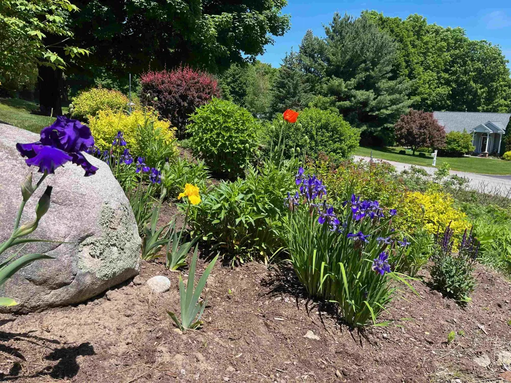 9770 E Valley Hills Drive Elmwood Charter Township, MI 49684