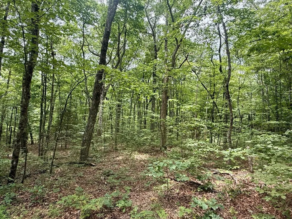 4104 Windridge Drive Dunlap, TN 37327