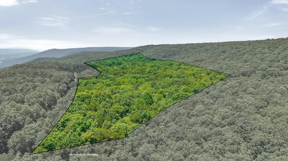4104 Windridge Drive Dunlap, TN 37327