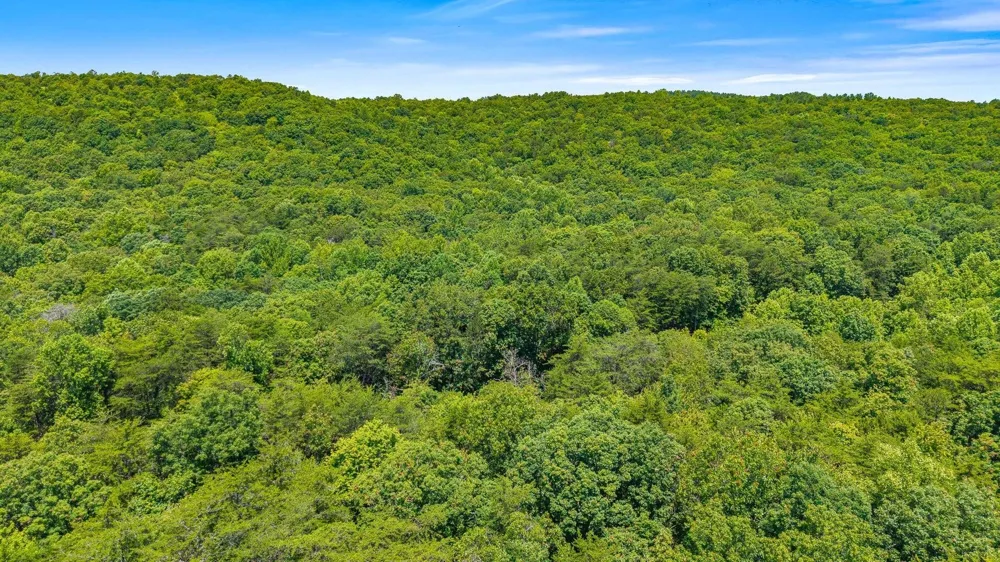 4104 Windridge Drive Dunlap, TN 37327