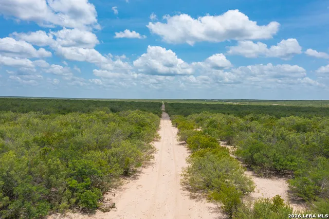 0000 Highway 44 Freer, TX 78357