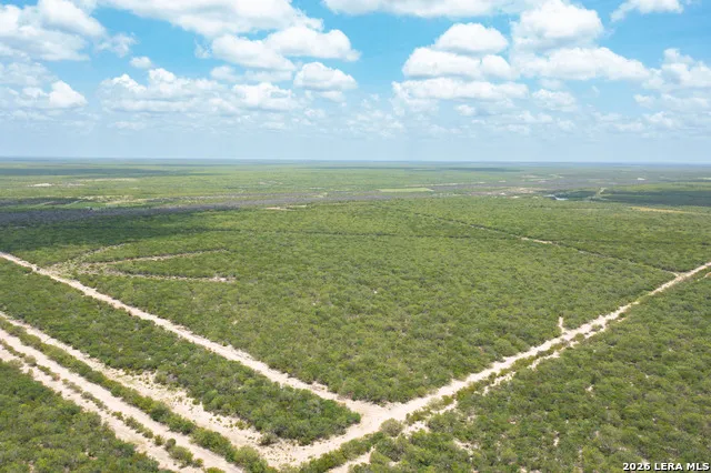 0000 Highway 44 Freer, TX 78357