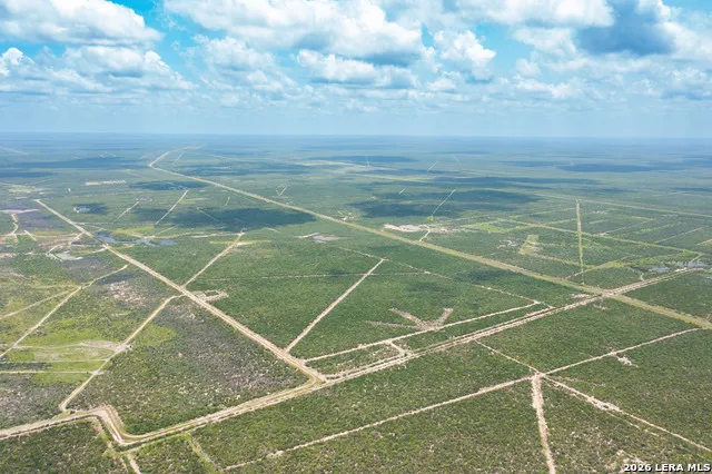 0000 Highway 44 Freer, TX 78357