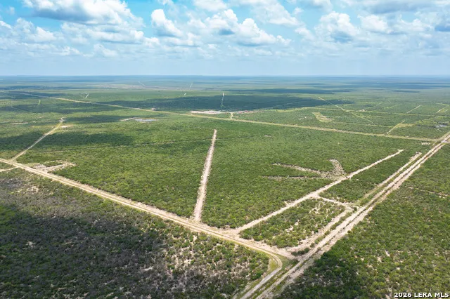 0000 Highway 44 Freer, TX 78357