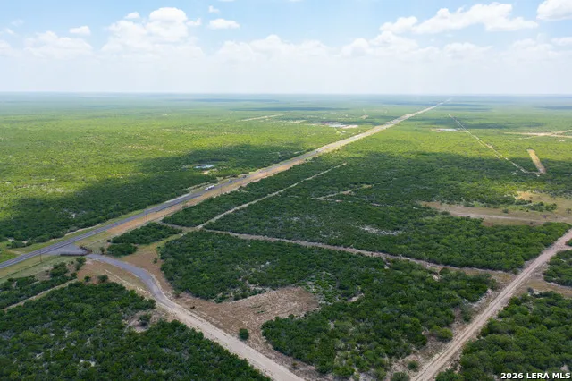 0000 Highway 44 Freer, TX 78357