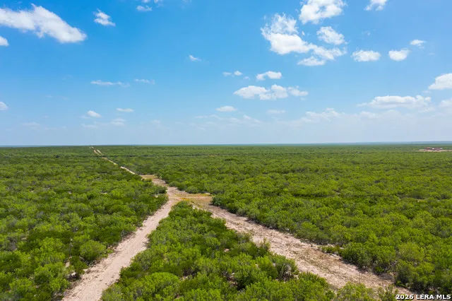 0000 Highway 44 Freer, TX 78357