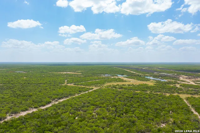 0000 Highway 44 Freer, TX 78357