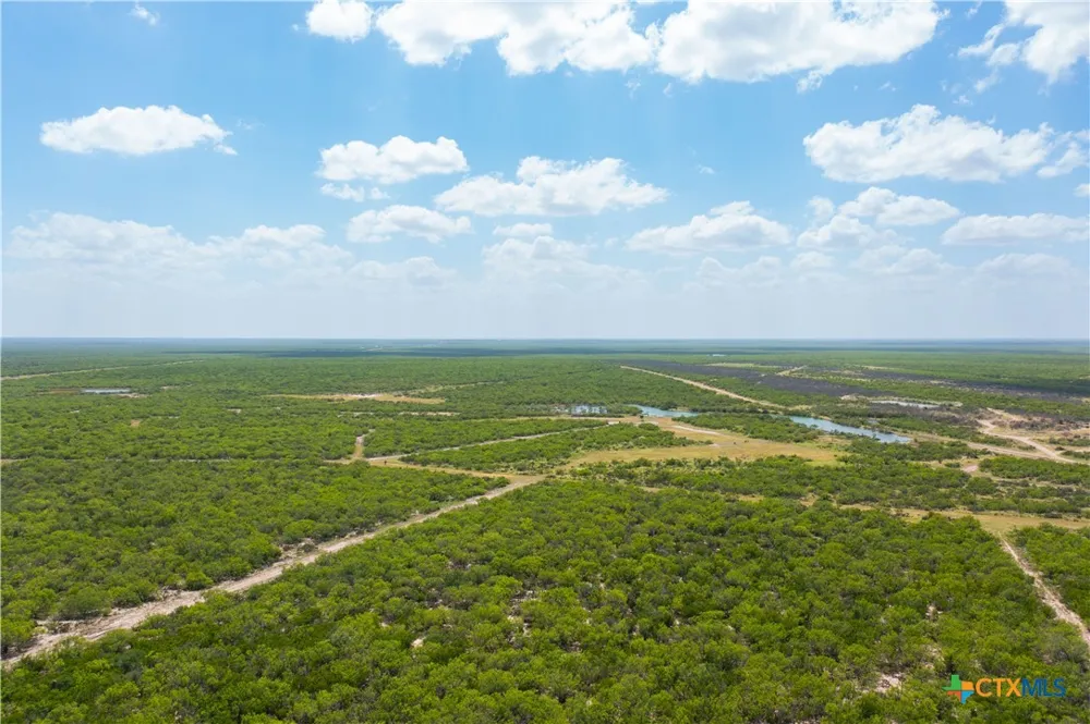 Highway 44 Freer, TX 78357