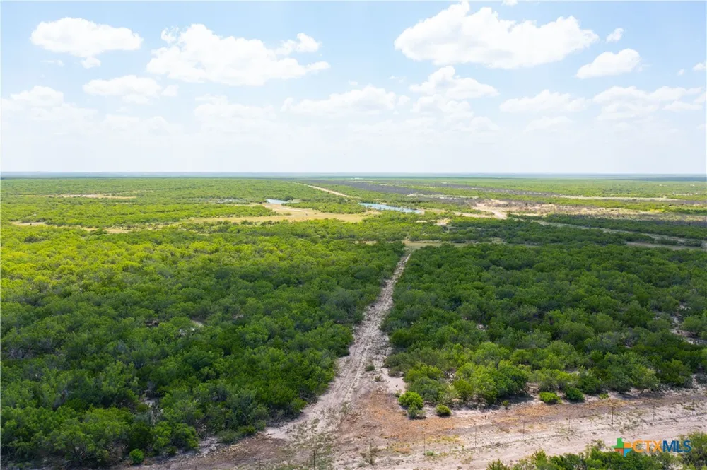 Highway 44 Freer, TX 78357