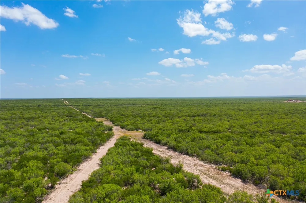 Highway 44 Freer, TX 78357
