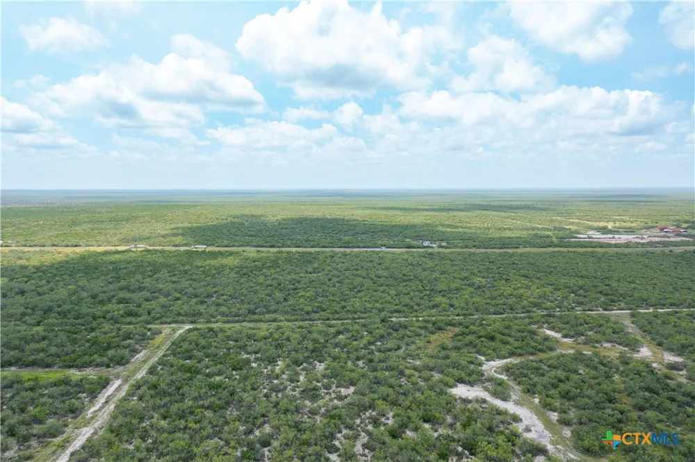 Highway 44 Freer, TX 78357