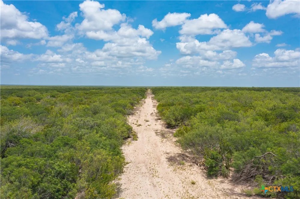 Highway 44 Freer, TX 78357