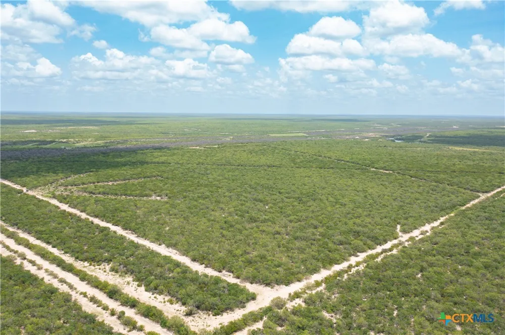Highway 44 Freer, TX 78357