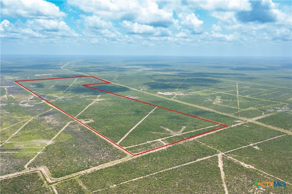 Highway 44 Freer, TX 78357