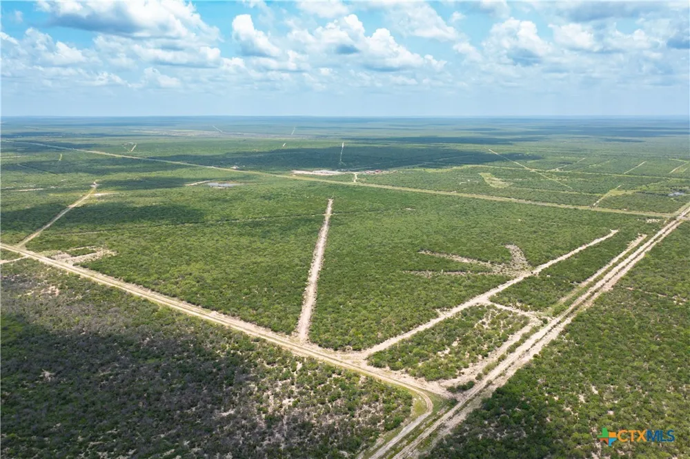 Highway 44 Freer, TX 78357