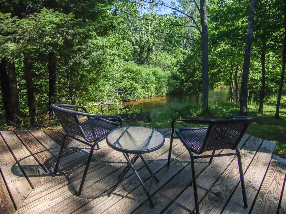 15651 Holly Drive Thompsonville, MI 49683