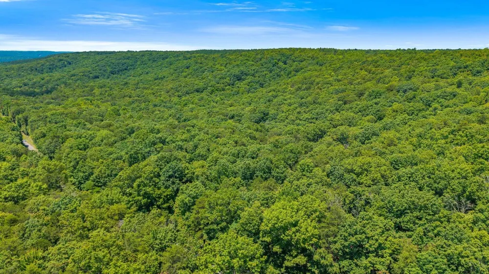1869 Windridge Drive Dunlap, TN 37327