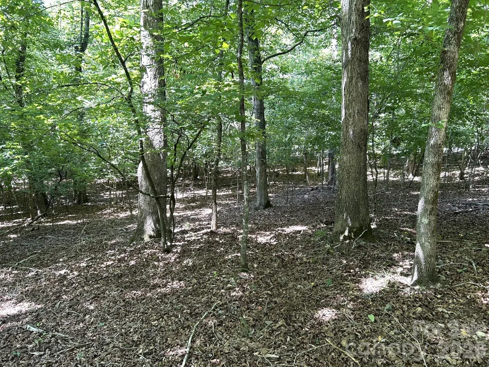 00 River Crest Parkway #26 Rutherfordton, NC 28139
