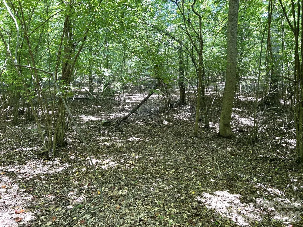 00 River Crest Parkway #26 Rutherfordton, NC 28139
