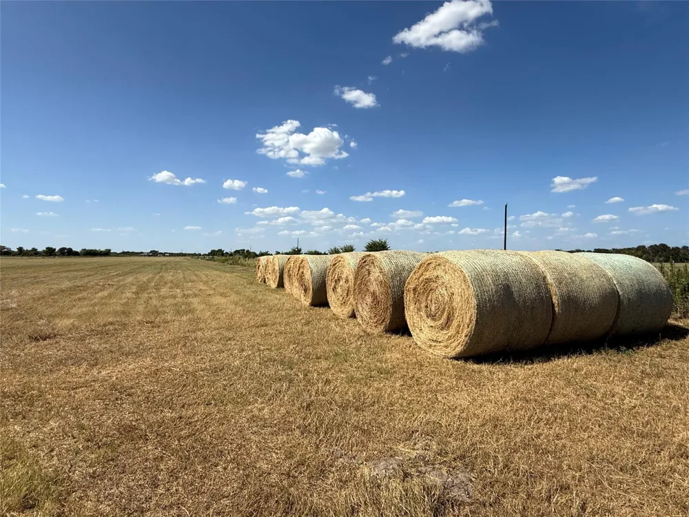 Fm 2745 Kosse, TX 76653