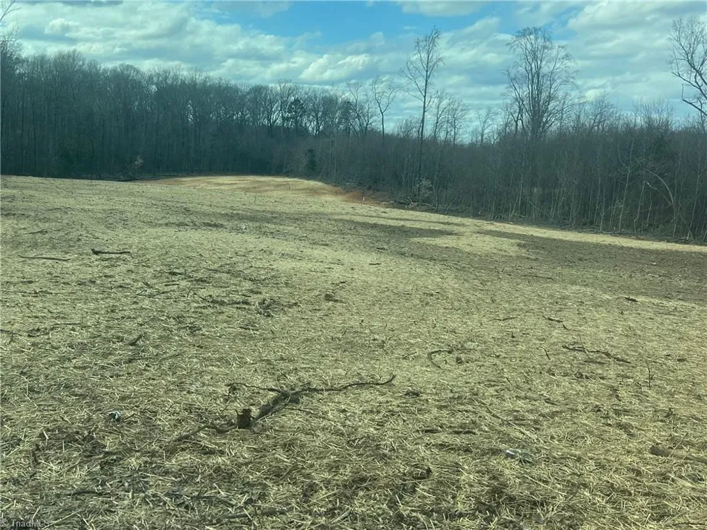 195 H L Palmer Road Lexington, NC 27292