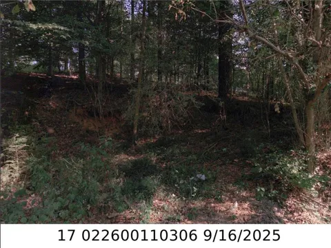 0 NEWMAN PL