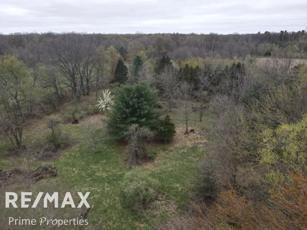 12181 Belsay Road Clio City, MI 48420