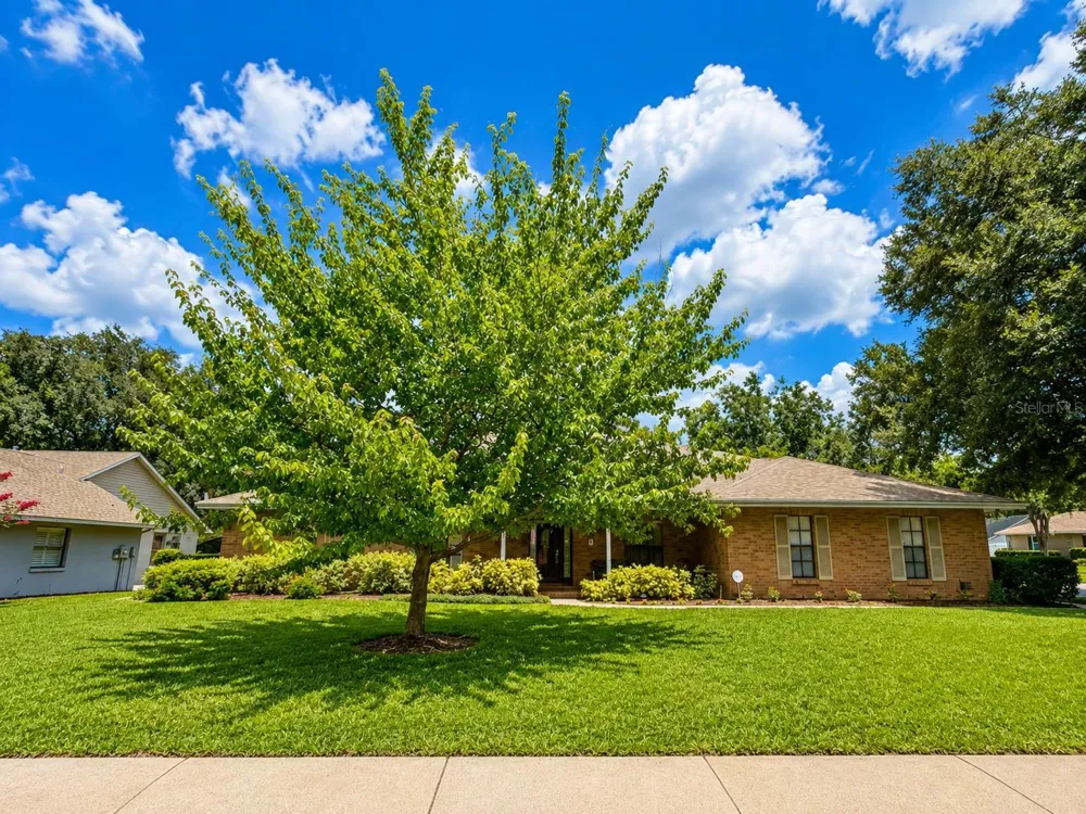 411 SUMMIT CHASE DRIVE Valrico, FL 33594