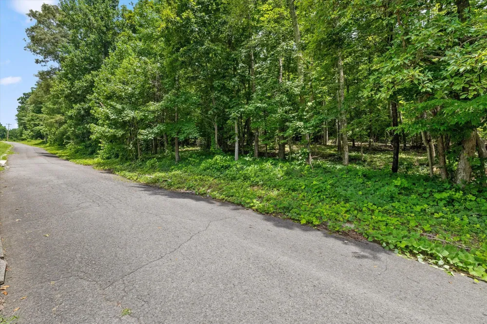 240 Timber Ridge Drive Kimball, TN 37347