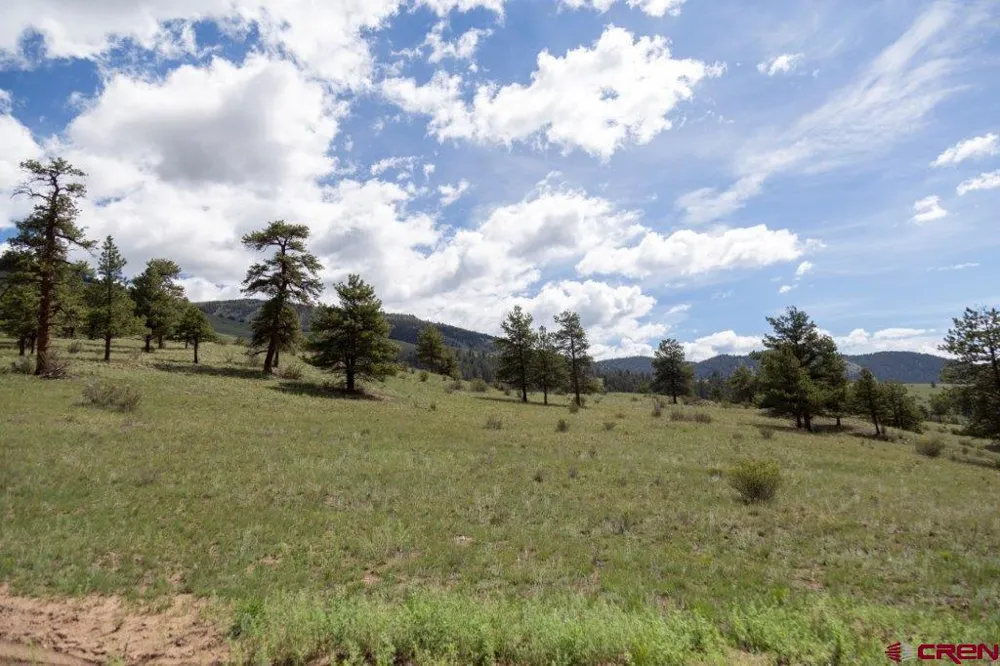 645 Cliff View Drive Creede, CO 81130