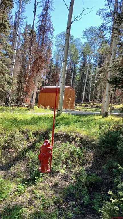 2020 Spruce Road Cimarron, CO 81220