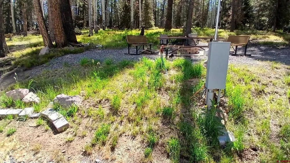 2020 Spruce Road Cimarron, CO 81220