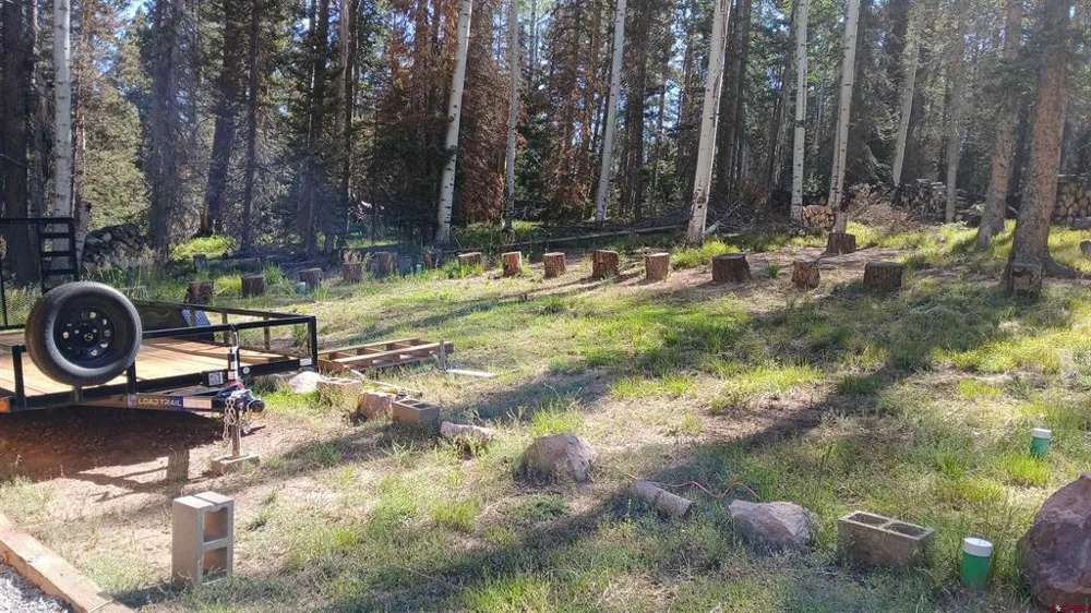 2020 Spruce Road Cimarron, CO 81220